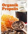 Organik Propolis Çocuk