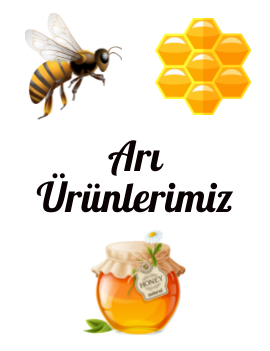 Arı Ürünleri